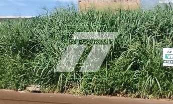 Imagem 4: Terreno residencial em Santa Tereza do Oeste