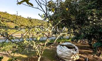 Imagem 3: Chácara com 3 mil m²