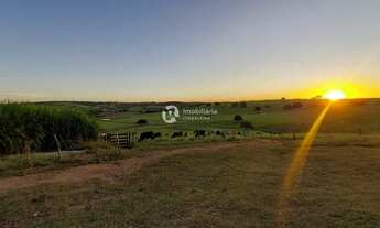 Imagem 2: VENDE-SE LINDA FAZENDA COM 284 TAREFAS EM ITABAIANINHA