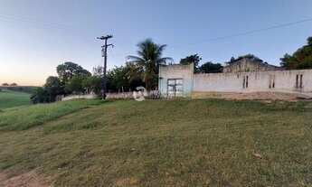 Imagem 3: VENDE-SE LINDA FAZENDA COM 284 TAREFAS EM ITABAIANINHA