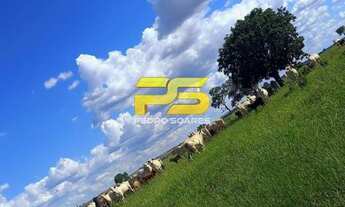 Imagem 3: Fazenda 1531 Hectares em Camapuã á venda por 27.000.000,00