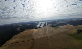 Imagem 7: Fazenda de 690 alqueires aptdão Lavoura - 01h de Cascavel