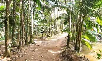 Imagem 4: Chácara com 47 Mil m², Bairro Amizade, Guaramirim