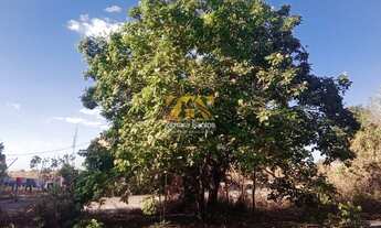 Imagem 3: Chácara com 1.000 m² - Condomínio Recanto dos Buritis - Porto Nacional/TO