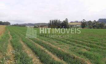 Imagem 2: Terreno - Faxinal Vila Nova - Ituporanga/SC