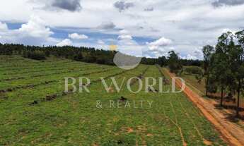 Imagem 2: Fazenda à venda em Abadiania com 42 alqueires