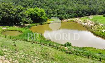 Imagem 4: Fazenda à venda em Abadiania com 42 alqueires