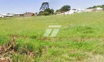 Imagem 2: Loteamento, Cataratas - Cascavel