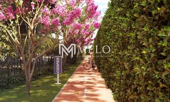 Imagem 2: 3qts, 1 suíte, 1 vaga,57m2 em CASA AMARELA..