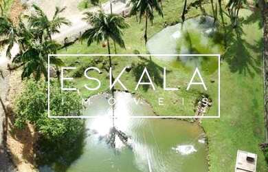 Imagem 2: Chácara com 30 mil m²