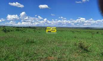 Imagem 4: Fazenda 1531 Hectares em Camapuã á venda por 27.000.000,00