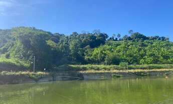 Imagem 2: Sitio com casa, ranchos, arrozeiras e criação de peixe em Massaranduba