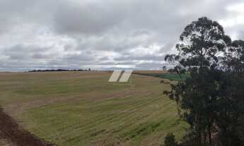 Imagem 6: Terreno industrial