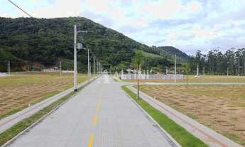 Imagem 6: Lote - Vila das Palmeiras