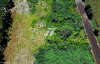 Imagem 3: Terreno Industrial Santa Tereza do Oeste