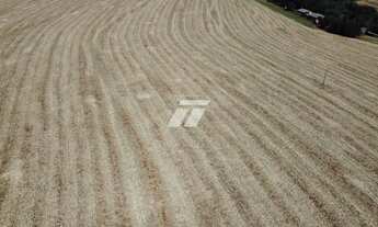 Imagem 2: SITIO COM 31,5 ALQUEIRES EM ESPIGÃO AZUL