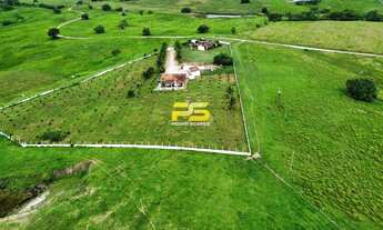 Imagem 6: Fazenda para venda com 150 Hectares