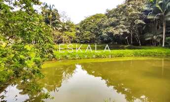 Imagem 3: Chácara com 47 Mil m², Bairro Amizade, Guaramirim