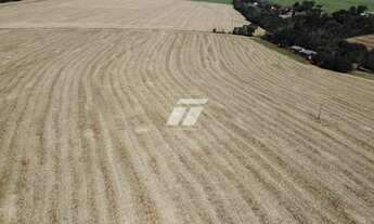 Imagem 4: SITIO COM 31,5 ALQUEIRES EM ESPIGÃO AZUL