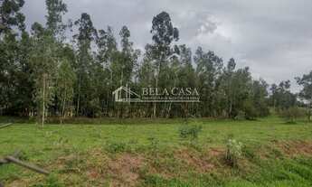 Imagem 3: Lote/Terreno, BR-376 - Mandaguaçu