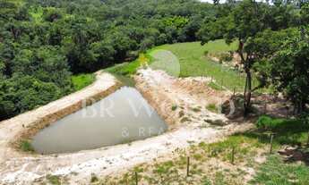 Imagem 3: Fazenda à venda em Abadiania com 42 alqueires