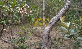 Imagem 4: Fazenda , 142 alqueires - Zona Rural - Santa Rita/TO