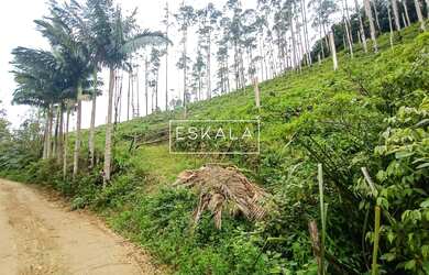 Imagem 4: Terras de Laudelina, Condominio Paraíso da Serra, Garibaldi, Jaragua do Sul
