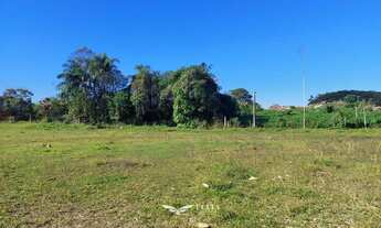 Imagem 2: Chácara com Pesque e Pague a venda em Barra Velha