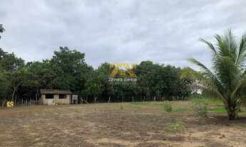 Imagem 5: Chácara, 10 alqueires - Silvanópolis/TO