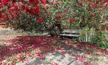 Imagem 7: Chácara à Venda