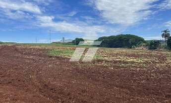 Imagem 2: Terreno Industrial - BR-277 Saída Foz do Iguaçú