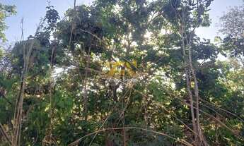 Imagem 5: Chácara com 1.000 m² - Condomínio Recanto dos Buritis - Porto Nacional/TO