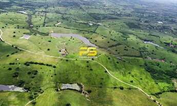 Imagem 2: Fazenda para venda com 150 Hectares