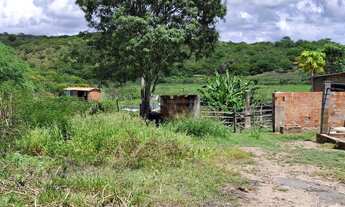 Imagem 3: FAZENDA EM GARARU AO LADO DO RIO SÃO FRANCISCO