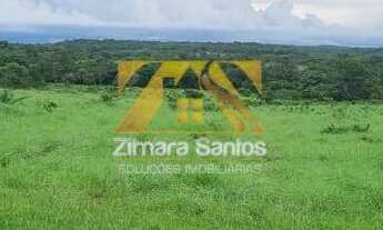 Imagem 2: Fazenda com 53,5 Alqueires - Zona Rural - Aparecida do Rio Negro/TO