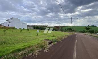 Imagem 3: TROPICAL 3 - Av principal