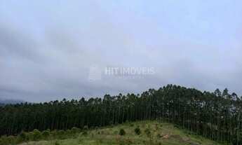 Imagem 3: TERRENO - LOCALIDADE DE PINHAL - PETROLÂNDIA - SC