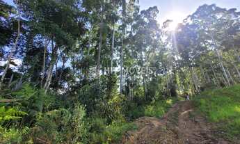 Imagem 2: TERRENO - RIO DE DENTRO - PETROLÂNDIA - SC