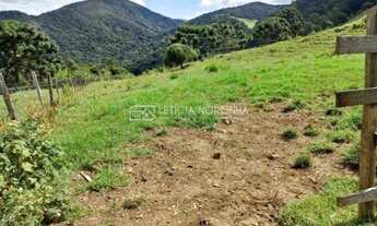 Imagem 6: Fazenda a venda mg