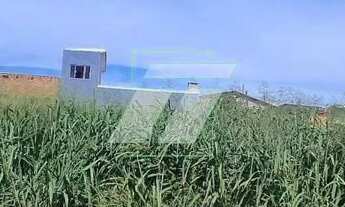 Imagem 4: Terreno em Santa Tereza do Oeste