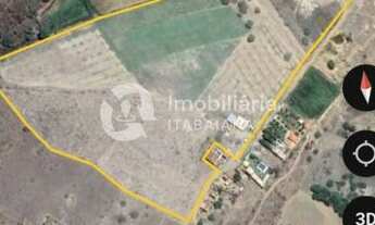 Imagem 2: FAZENDA EM GARARU AO LADO DO RIO SÃO FRANCISCO