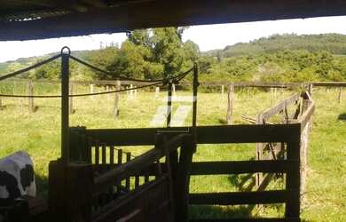 Imagem 3: Fazendinha com 199 Hectares, Dupla Aptidão, haá60 km de Cascavel