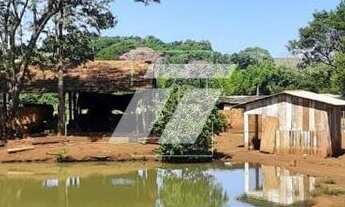 Imagem: Sítio em Marechal Cândido Rondon