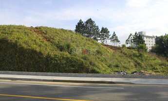 Imagem 6: Terrenos à Venda Jaraguá do Sul Amizade
