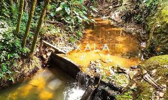 Imagem 7: Chácara com 47 Mil m², Bairro Amizade, Guaramirim