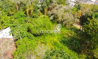 Imagem 3: Terreno com 715m² na Velha!