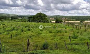 Imagem 6: FAZENDA EM GARARU AO LADO DO RIO SÃO FRANCISCO