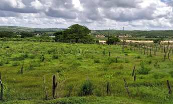 Imagem 6: FAZENDA EM GARARU AO LADO DO RIO SÃO FRANCISCO