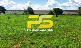 Imagem 6: Fazenda 1531 Hectares em Camapuã á venda por 27.000.000,00