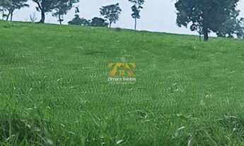 Imagem 4: Fazenda, 1.089 alqueires - Centro - Pium/TO